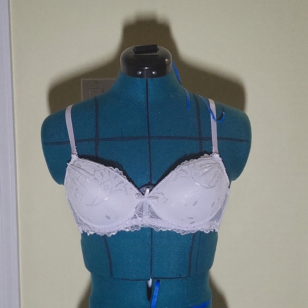 Lace Mesh Padded Bra
